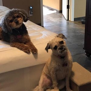 Meet your Posher, Debby